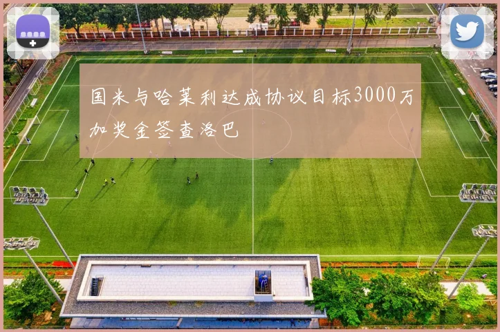 国米与哈莱利达成协议目标3000万加奖金签查洛巴